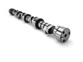 Voodoo Hydraulic Flat Tappet Camshaft