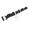 Voodoo Hydraulic Flat Tappet Camshaft