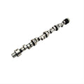 Voodoo Hydraulic Roller Camshaft