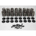 Dual Valve Spring Kit