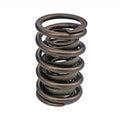 Dual Valve Spring Kit