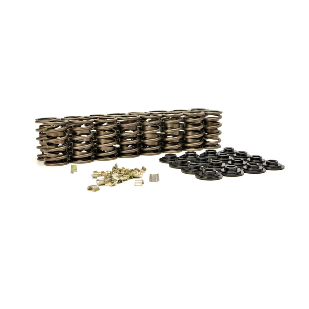 Dual Valve Spring Kit