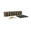 Dual Valve Spring Kit