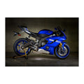 Muffler Box Eliminator Kit