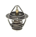 Engine Coolant Thermostat Insert