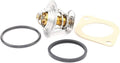 Mahle Thermostat