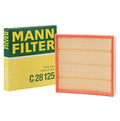 Replacement Air Filter