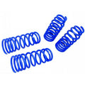 Lowering Springs