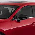 Exterior Door Mirror Caps