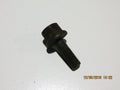 Crankshaft Bolt