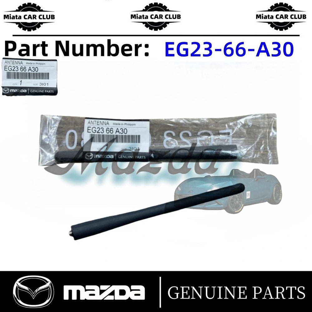 Antenna Rod