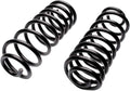 CC865 Coil Spring Set