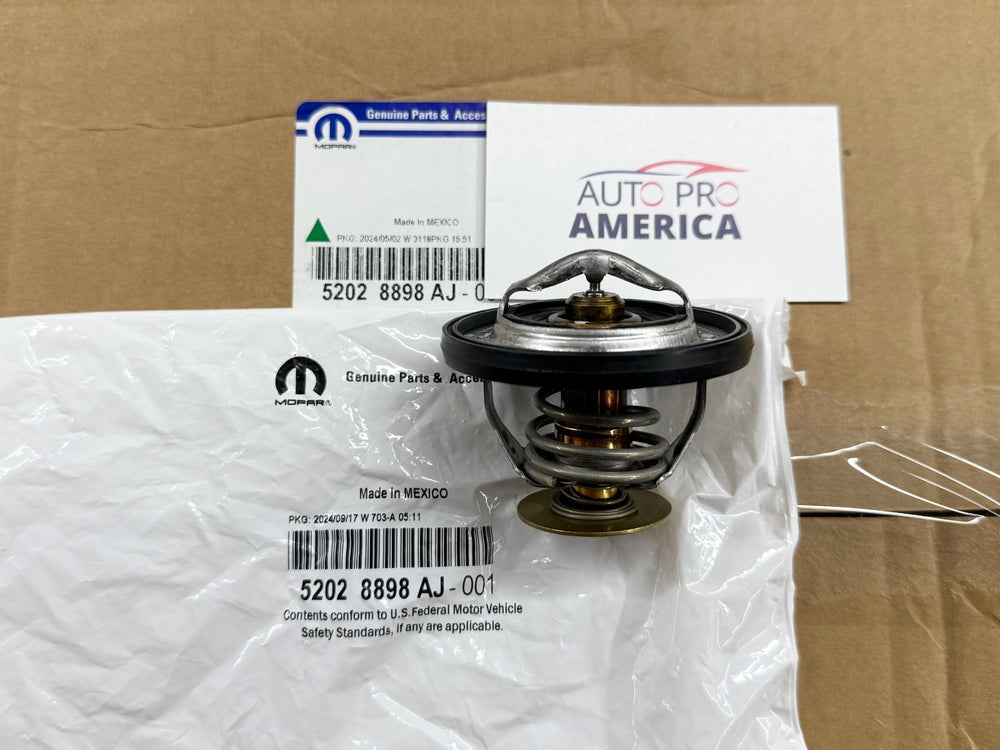 OEM 195-Degree Thermostat with Seal
