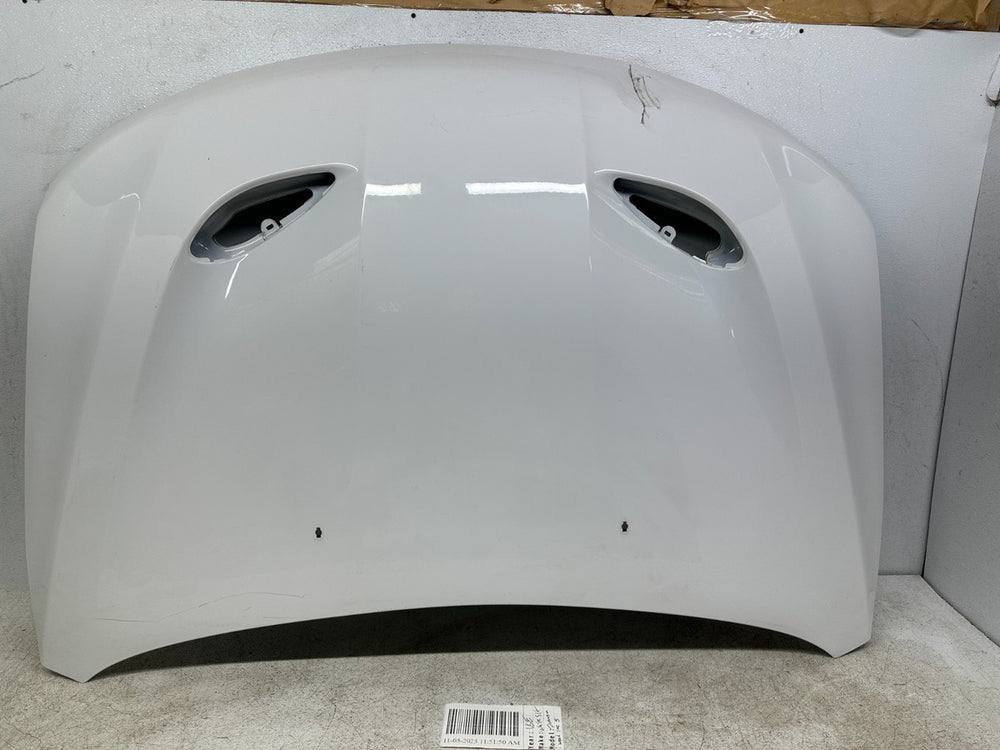 Hood Panel