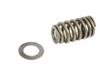 Valve Spring