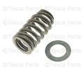 Valve Spring