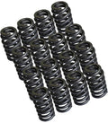 Valve Spring