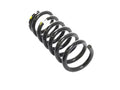 Front Coil Spring