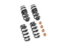 1-Inch Lowering Spring Kit