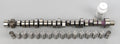 Purple Shaft Hydraulic Flat Tappet Camshaft and Lifter Kit