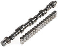 Purple Shaft Hydraulic Flat Tappet Camshaft and Lifter Kit