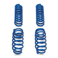 Stage 1 Performance Lowering Spring Kit