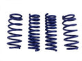 Stage 1 Performance Lowering Spring Kit