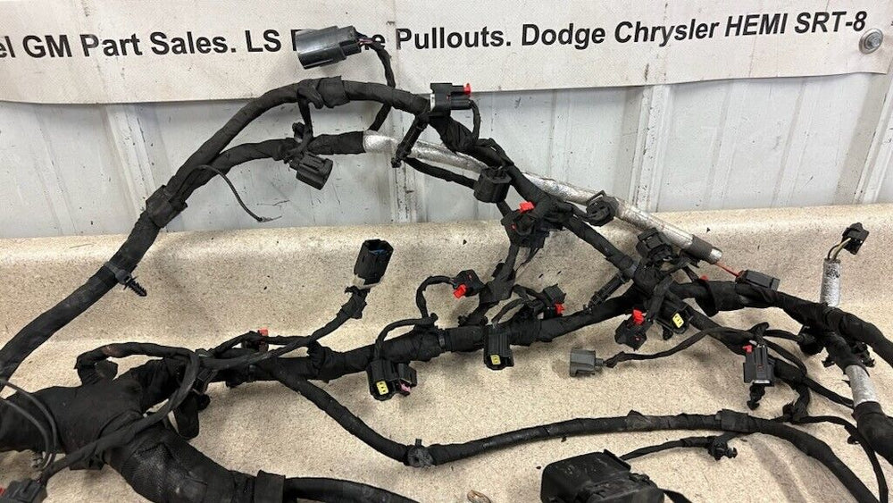 Engine Wiring Harness