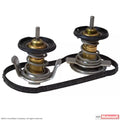 Thermostat Assembly