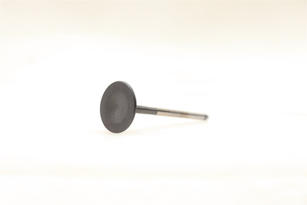 Exhaust Valve for 3.3L/3.5L/3.7L Engines