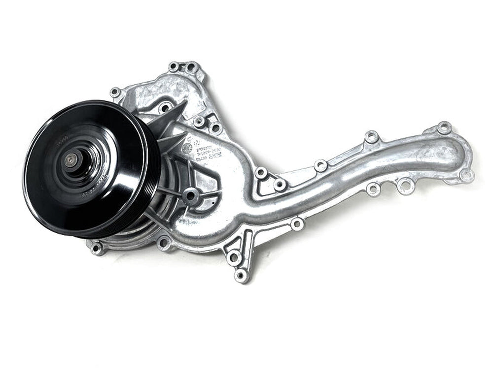 Primary Water Pump Assembly