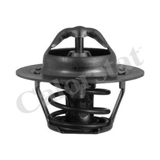Thermostat Assembly