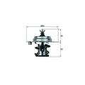 Thermostat Assembly