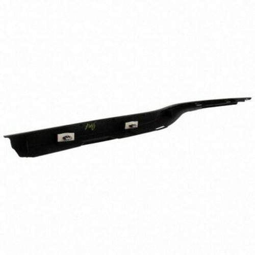 Driver Side Door Belt Molding