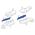 Exhaust Manifold Gasket