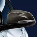 Carbon Fiber Mirror Cap