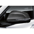 Driver-Side Mirror Housing