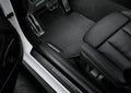 Carbon Doorsill Cover