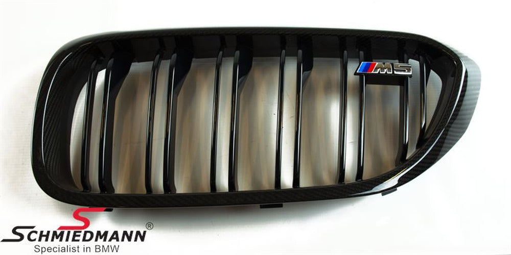 Carbon Fiber Front Grille, Left-Side