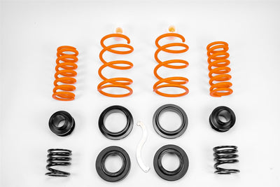 Sports Fully Adjustable Suspension Kit