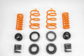 Sports Fully Adjustable Suspension Kit