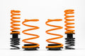 Sports Fully Adjustable Suspension Kit