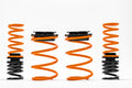 Sports Fully Adjustable Suspension Kit