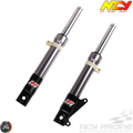 Titanium Finish Front Forks