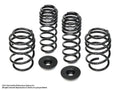 Lowering Springs Kit