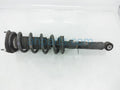 Front Driver-Side Suspension Strut for Sport Brakes