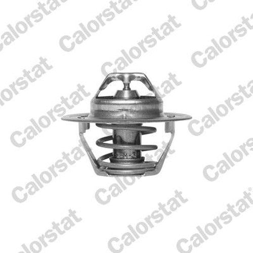 Thermostat Assembly 76.5°C