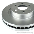 Front Brake Rotor for Brembo Calipers