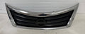 Front Grille Assembly