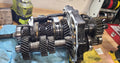 5-Speed Manual Transmission